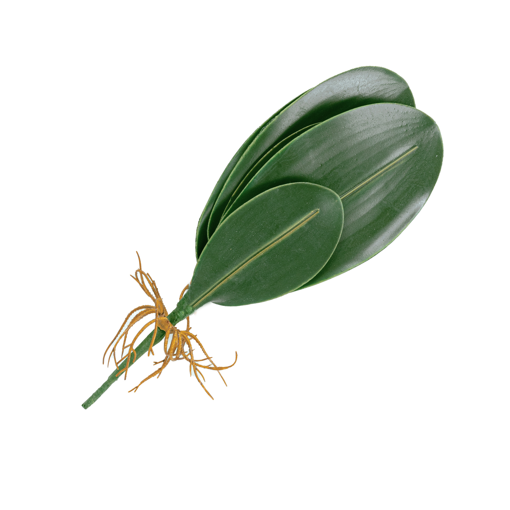 Artificial silicone orchid leaf with roots